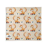 Foxy Tales Ultra Soft Pet Blanket