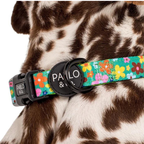 Funky Flowers Collar