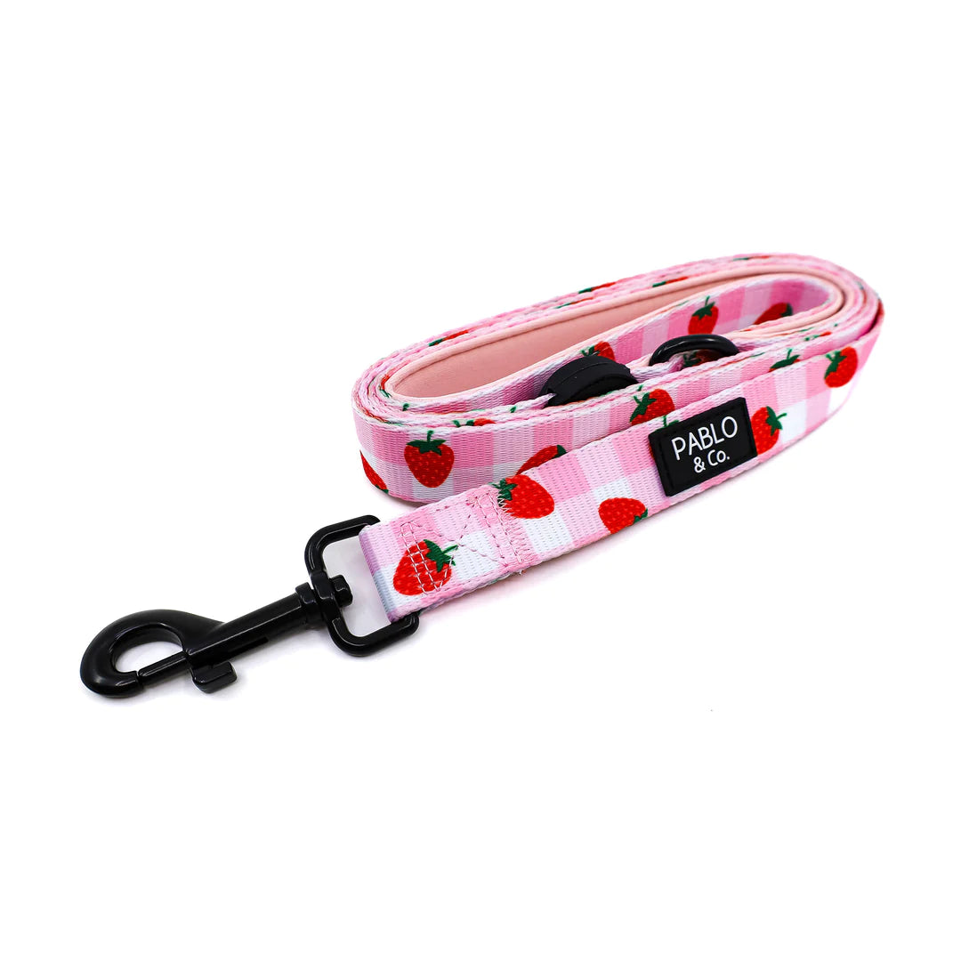 Strawberry Fields: Dog Leash