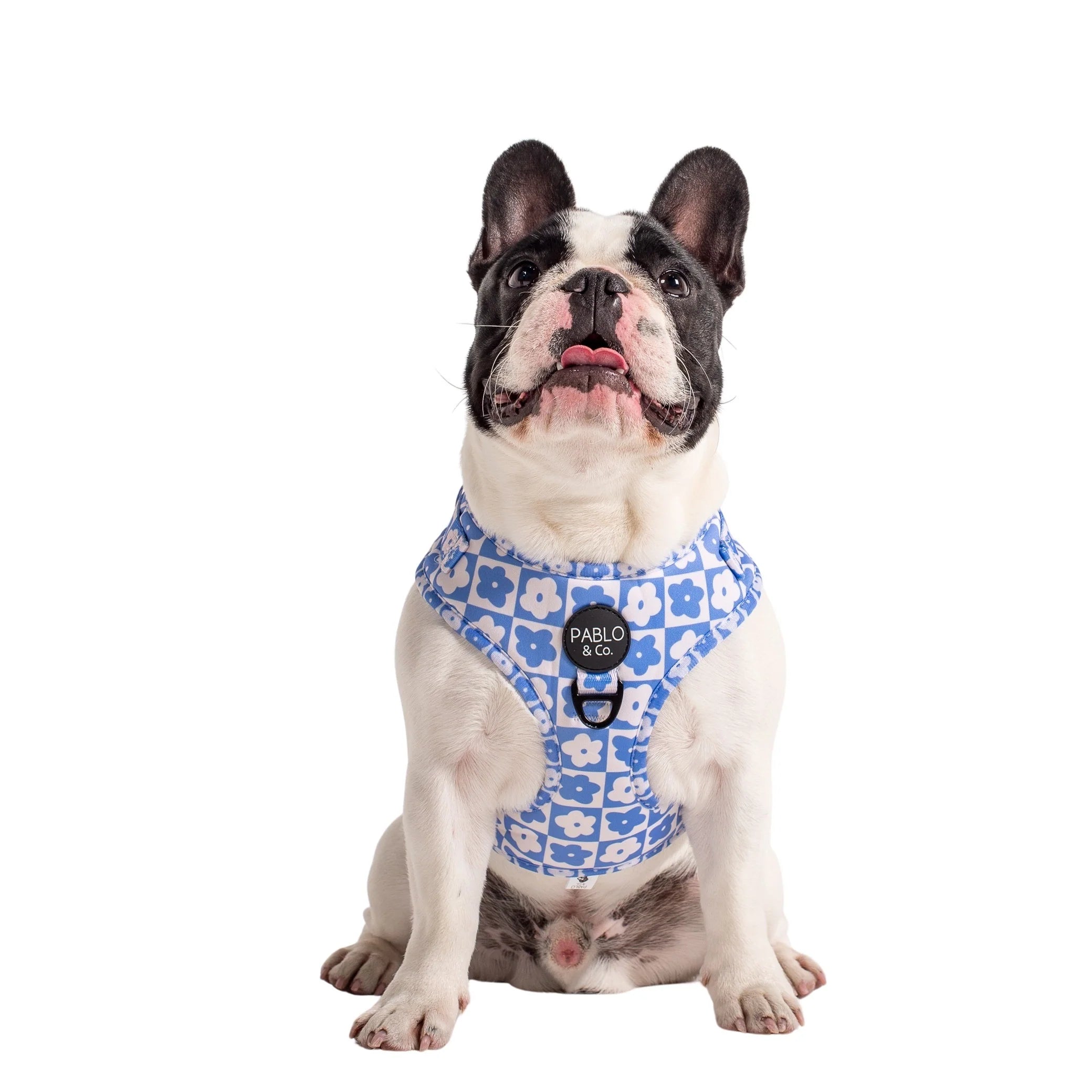 Blue Checkered Daisies: Adjustable Harness