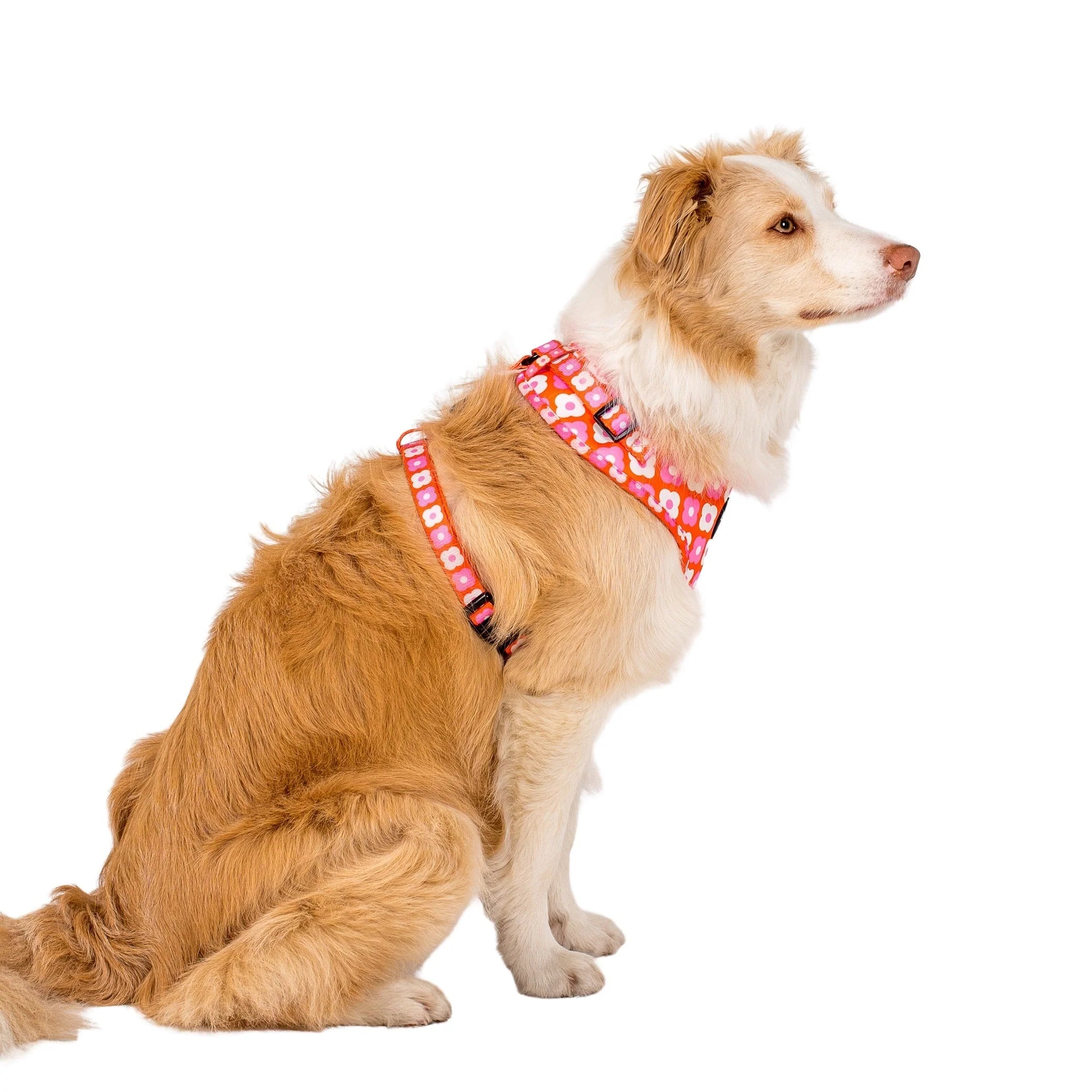 Pink Checkered Daisies: Adjustable Harness