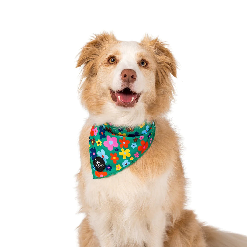Funky Flowers Bandana