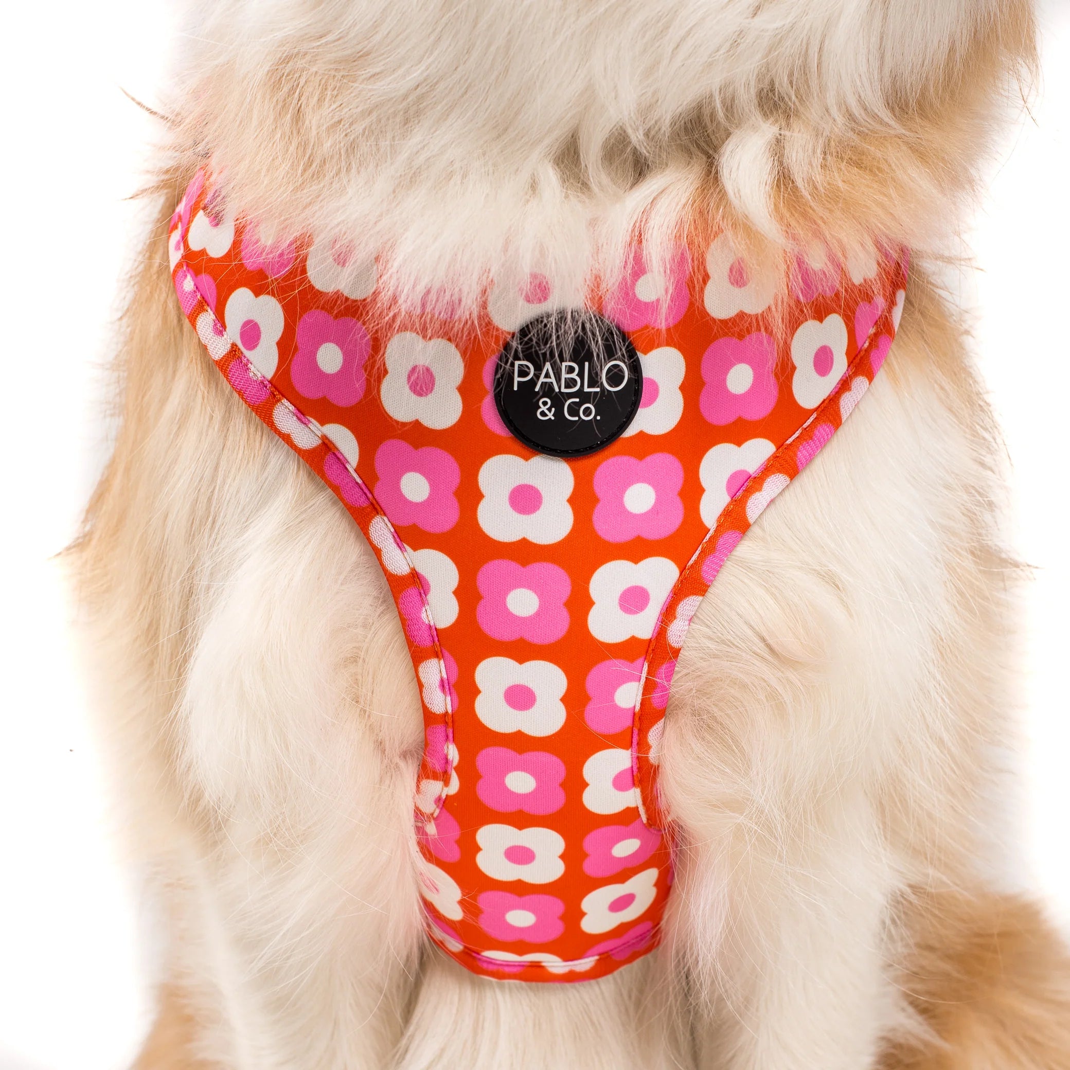 Pink Checkered Daisies: Adjustable Harness
