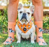 Dog Breed Socks: French Bulldog