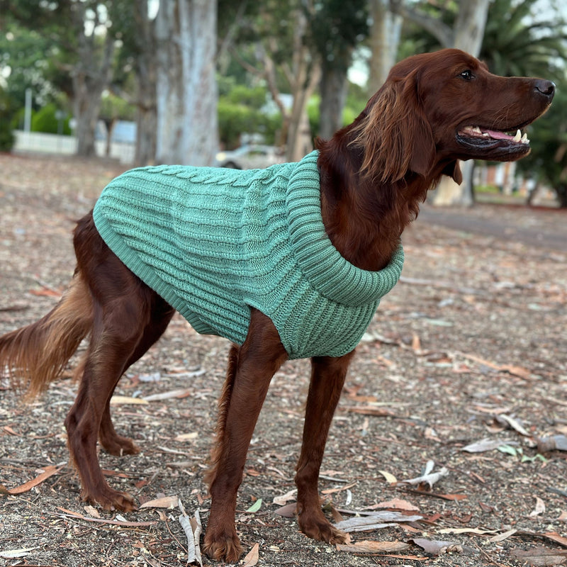 Cali Knit Sweater Gumtree