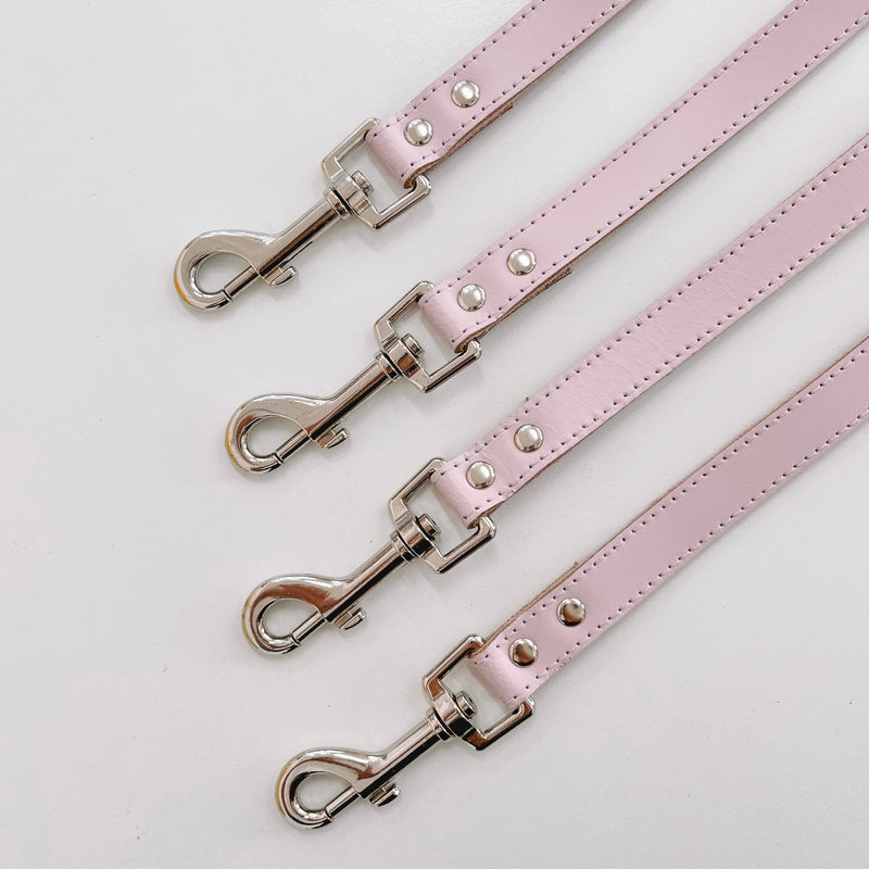 DOGUE Gelato Lead