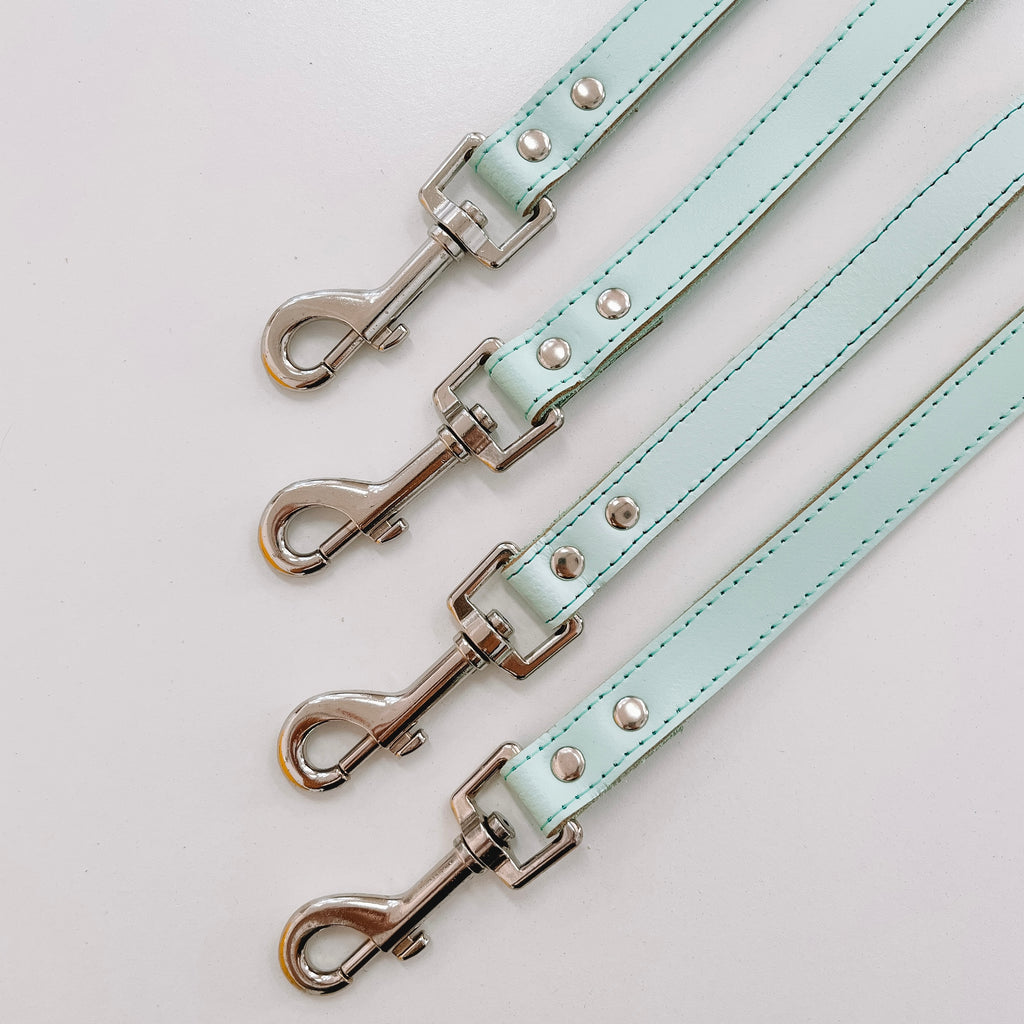 DOGUE Gelato Lead
