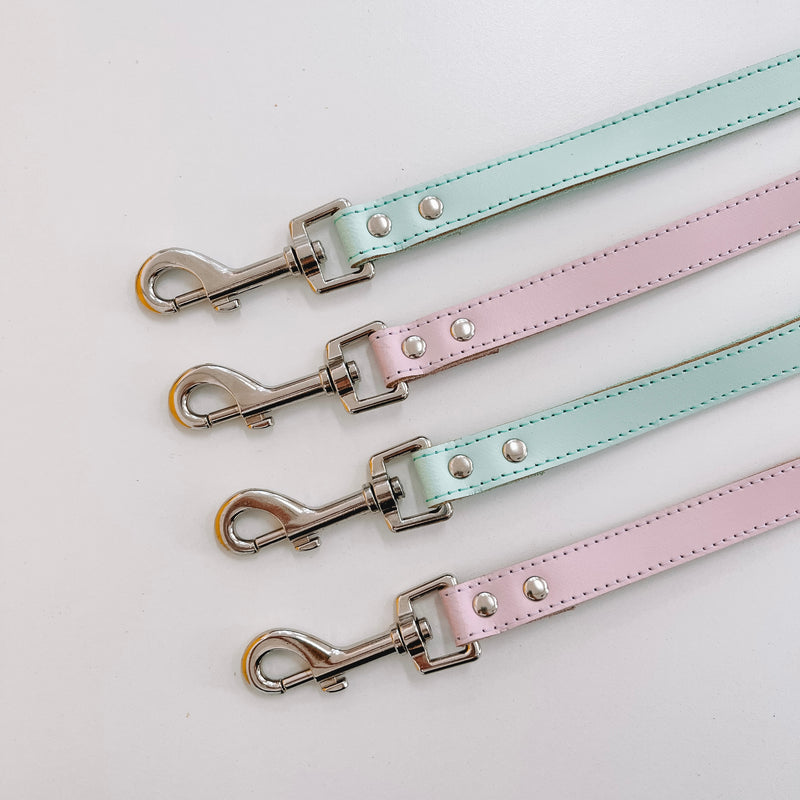 DOGUE Gelato Lead