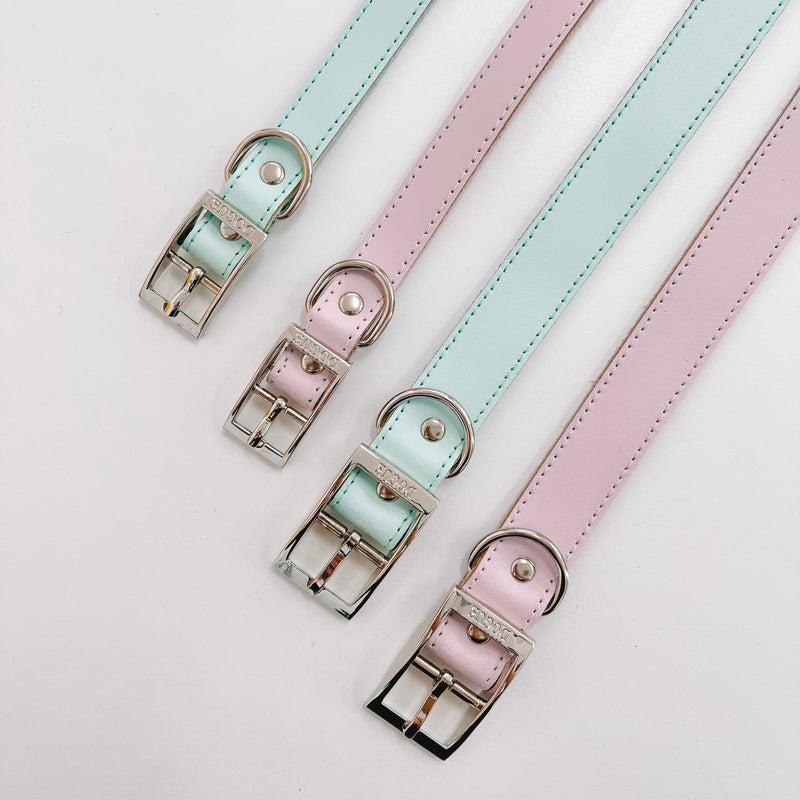 DOGUE Gelato Collar