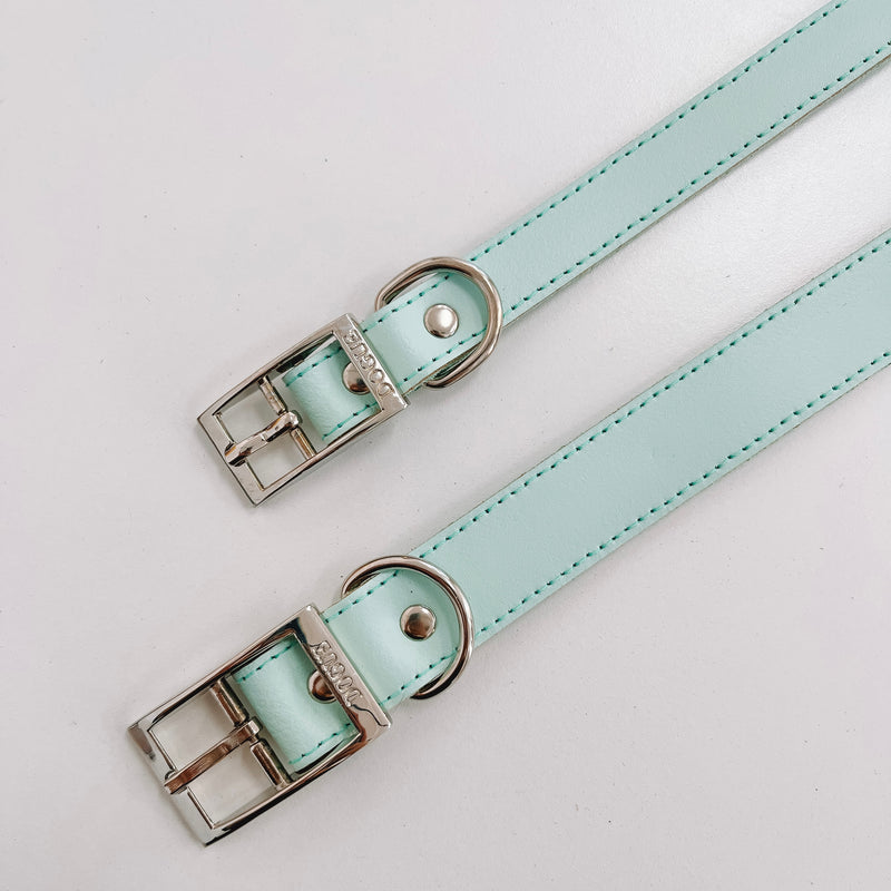 DOGUE Gelato Collar