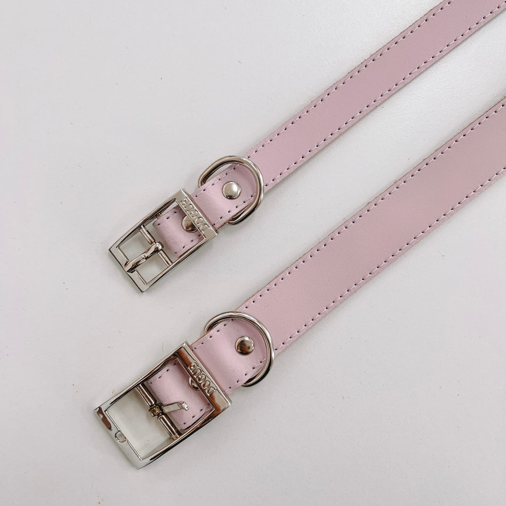 DOGUE Gelato Collar