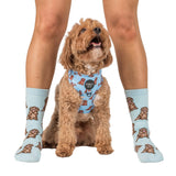 Dog Breed Socks: Cavoodle