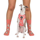 Dog Breed Socks: Iggy