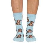 Dog Breed Socks: Cavoodle