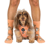 Dog Breed Socks: Corgi