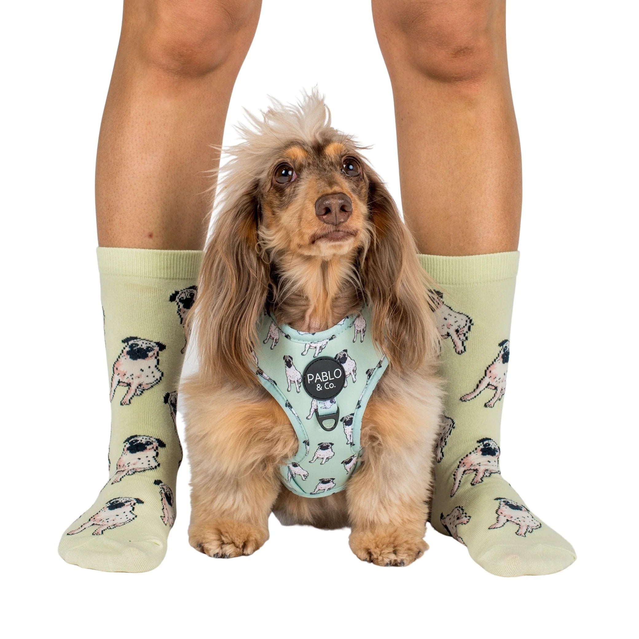 Dog Breed Socks: Pug