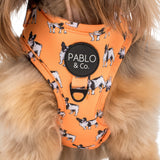 French Bulldog Breed: Adjustable Harness