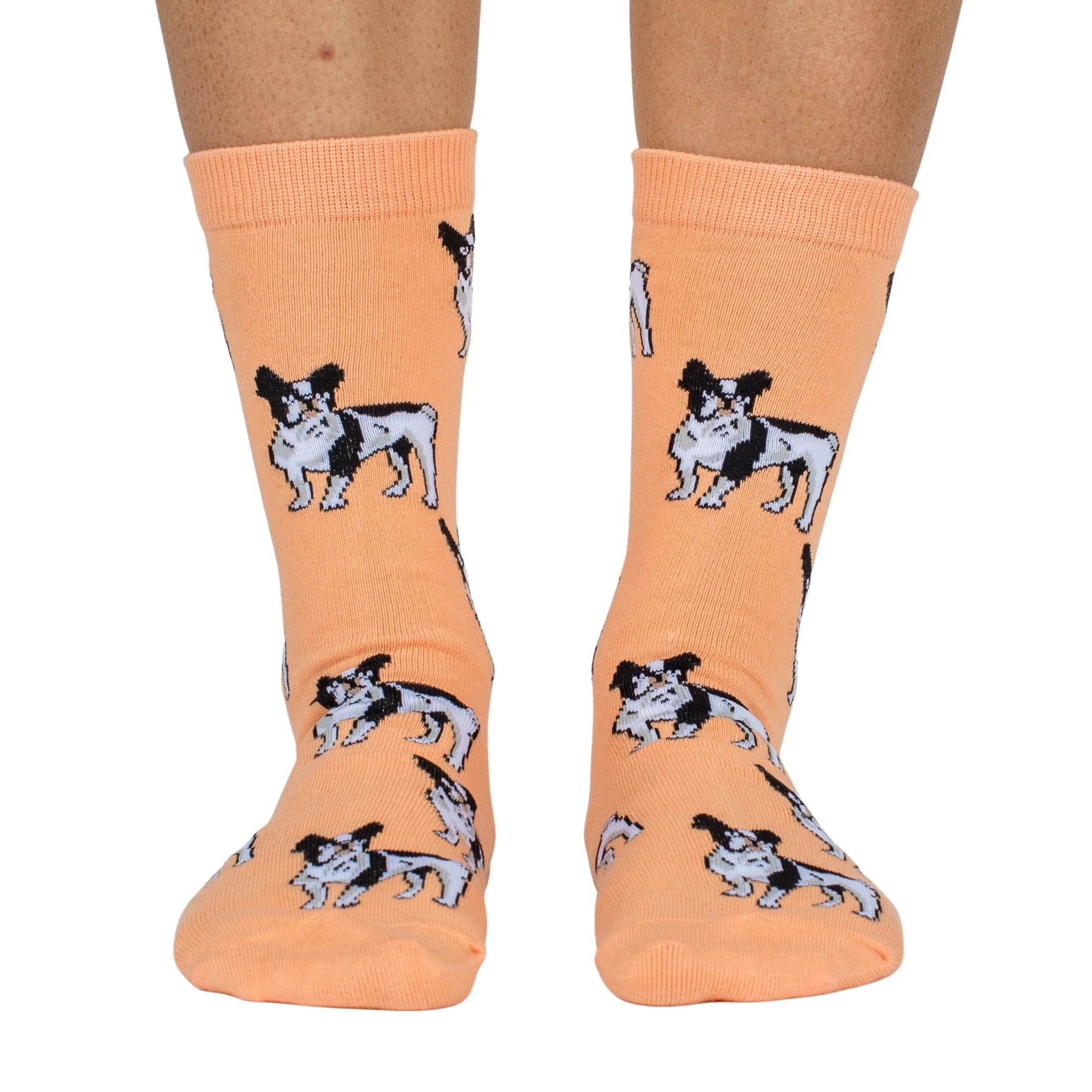 Dog Breed Socks: French Bulldog