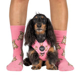 Dog Breed Socks: Chihuahua
