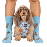 Dog Breed Socks: Cocker Spaniel