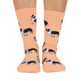Dog Breed Socks: Border Collie