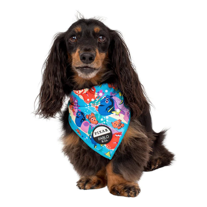 Finding Nemo: Dog Bandana – Furry 'n' Fabulous