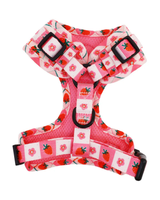 Strawberry Patch: Adjustable Harness