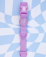 Lavender: Waterproof Collar