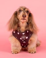 Polka Dots: Adjustable Harness
