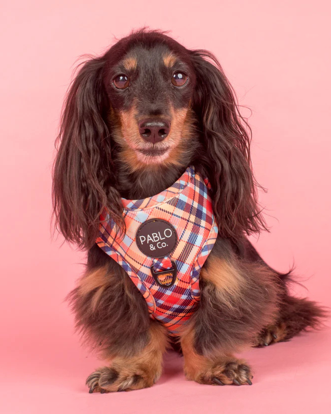 Tartan: Adjustable Harness