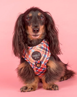 Tartan: Adjustable Harness