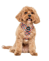 Tartan: Adjustable Harness