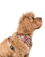 Tartan: Adjustable Harness