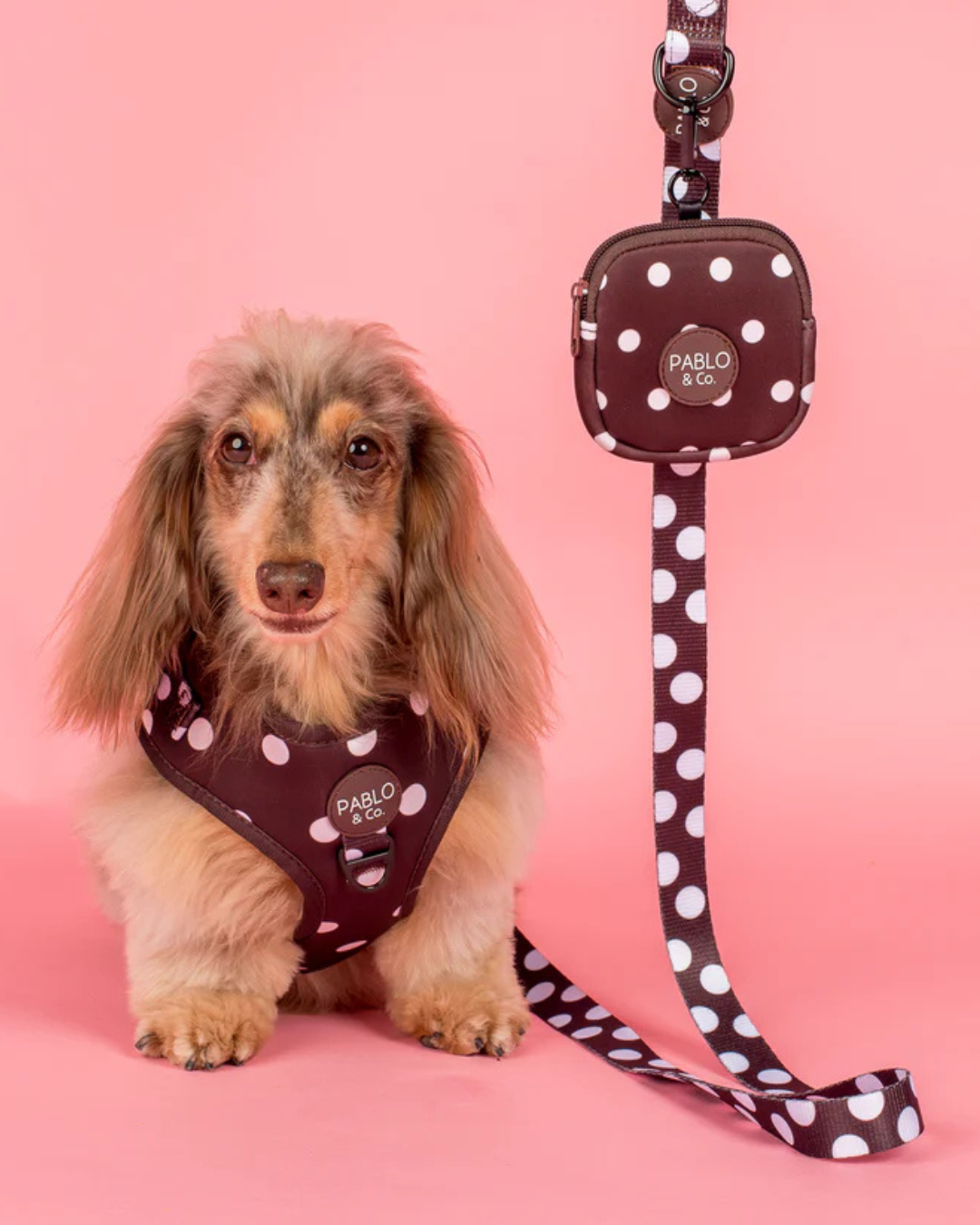 Polka Dots: Dog Leash