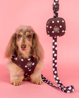 Polka Dots: Dog Leash