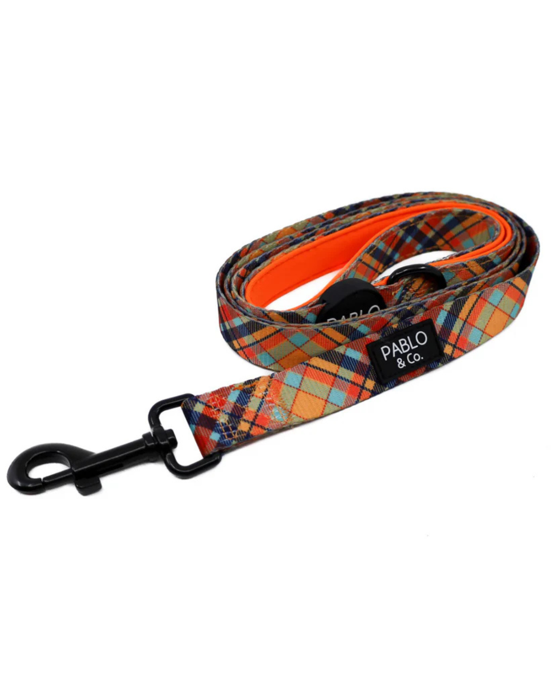 Tartan: Dog Leash