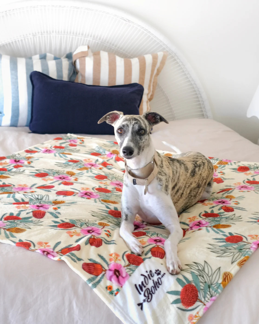 Native Flora - Designer Pet Blanket