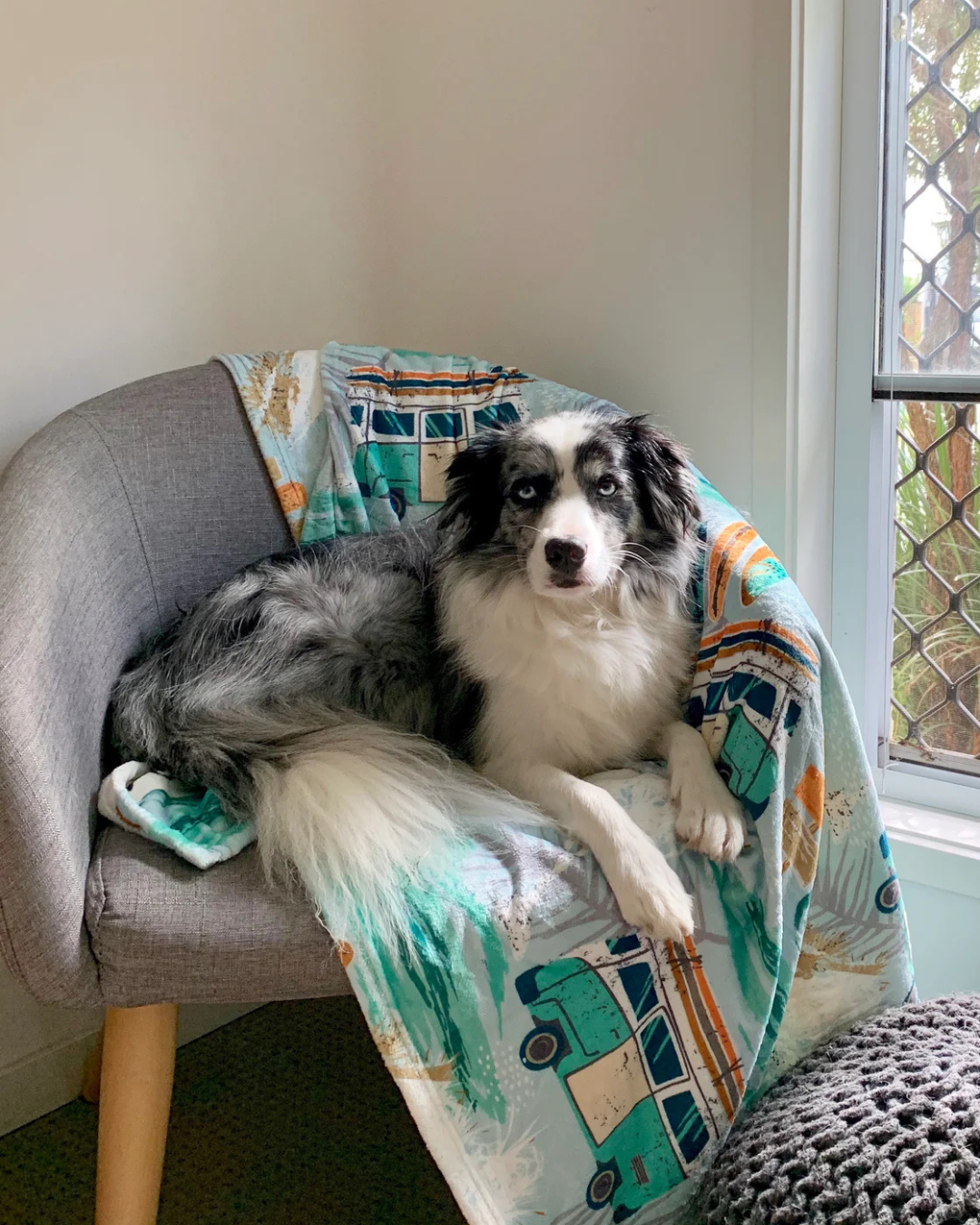 Byron Surf - Designer Pet Blanket