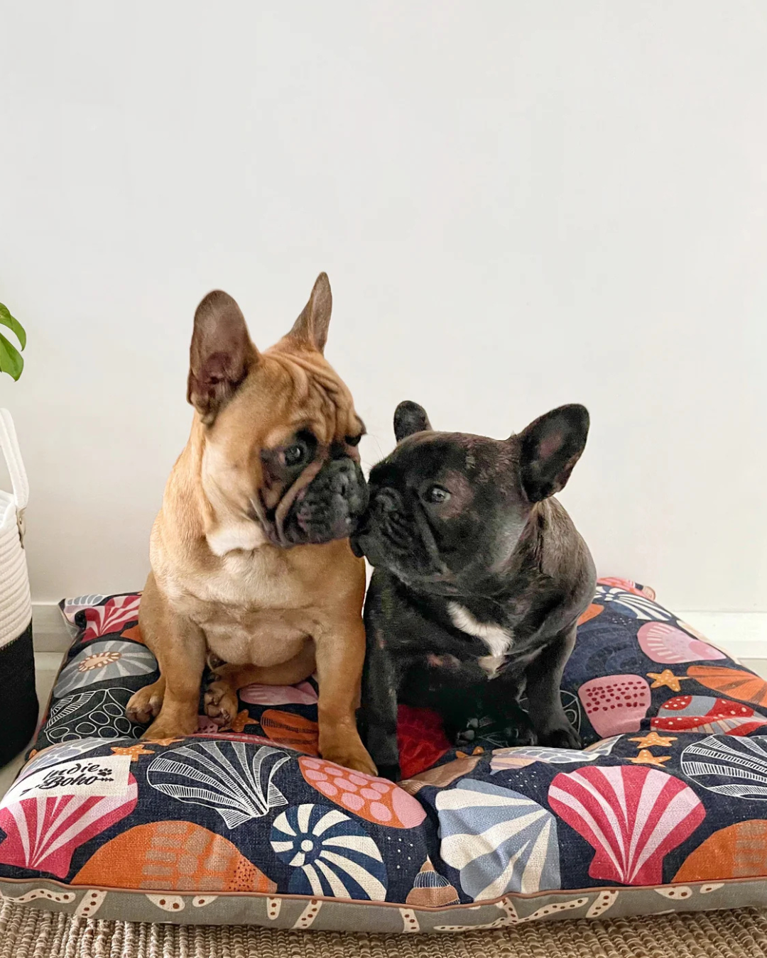 Daydream Shells Linen-Blend – LARGE Dog Bed