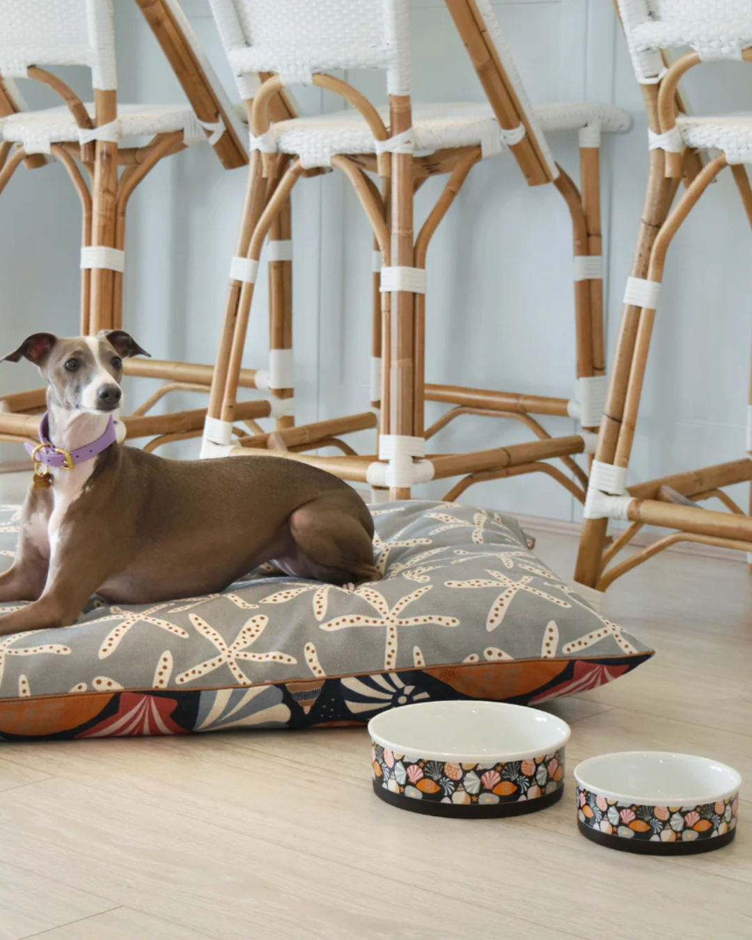 Daydream Shells - Ceramic Dog Bowls