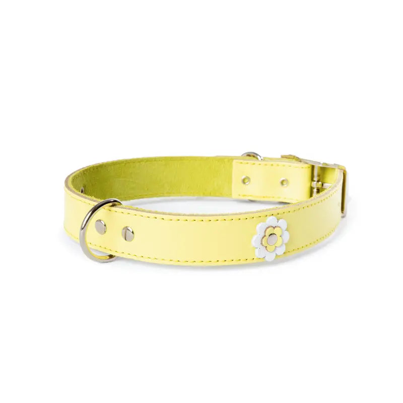 Dog Collar: Gelato Flowers Lemon