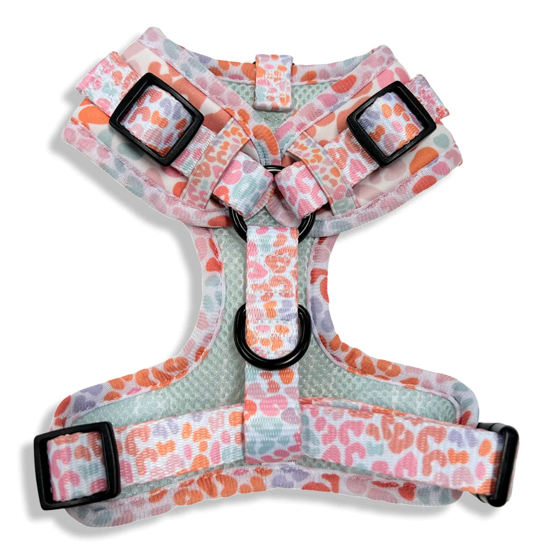 Wild At Heart: Adjustable Chest Harness