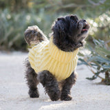 Cali Knit Sweater Buttercup