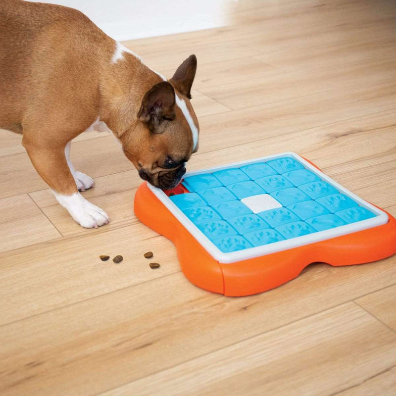 Challenge Slider Toy