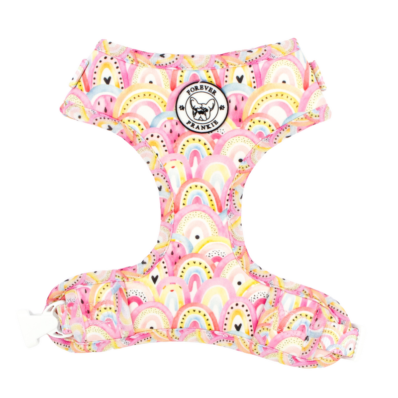 Chasing Rainbows Harness