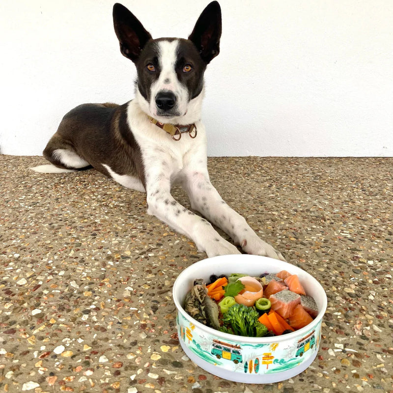 Byron Surf Ceramic Dog Bowl