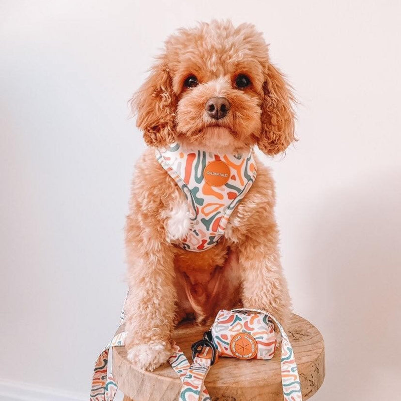 Golden Tales Fall Feelin Adjustable Harness