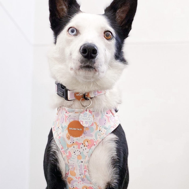 Golden Tales Sunday Sor-Bae Adjustable Harness