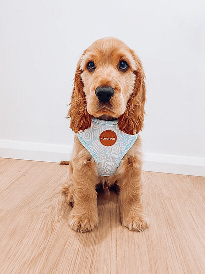 Santorini Swirl Adjustable Harness