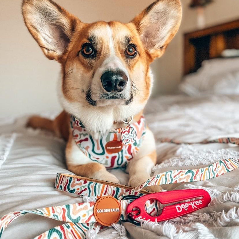 Golden Tales Fall Feelin Adjustable Harness